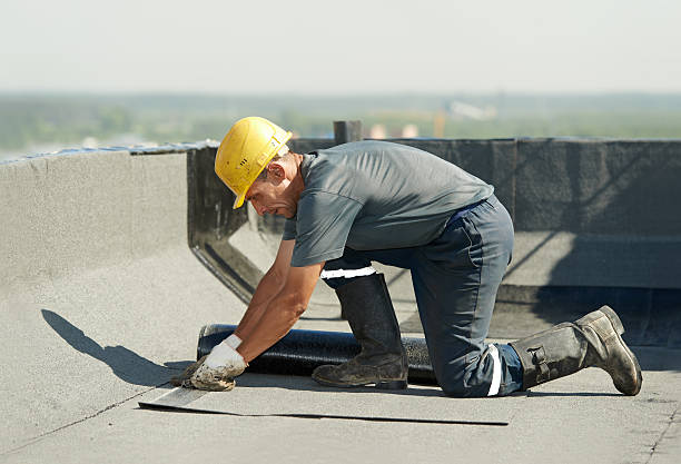 Best Insulation Removal  in Mora, MN