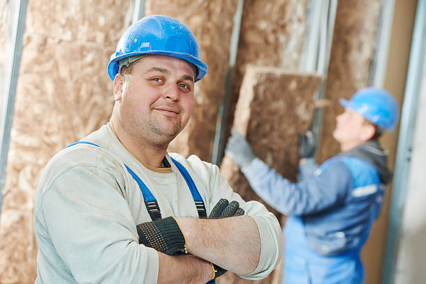 Best Blown-in Insulation  in Mora, MN